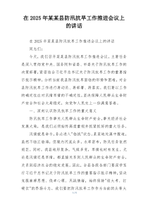 在2025年某某县防汛抗旱工作推进会议上的讲话