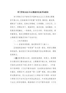 学习贯彻20XX年主题教育总结评估报告