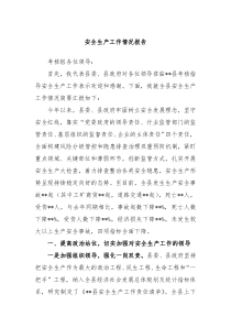 安全生产工作情况报告