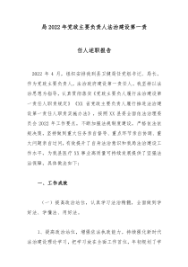 局20XX年党政主要负责人法治建设第一责任人述职报告