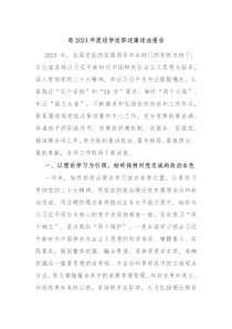 局20XX年度述学述职述廉述法报告