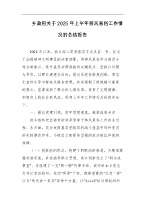 乡政府关于2025年上半年移风易俗工作情况的总结报告