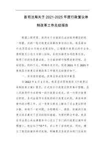 县司法局关于20212025年度行政复议体制改革工作总结报告