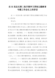 在XX党总支第二批开展学习贯彻主题教育专题工作会议上的讲话