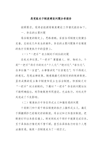局党组关于制度建设问题分析报告