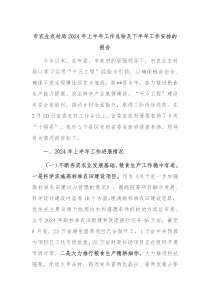 市农业农村局2024年上半年工作总结及下半年工作安排的报告