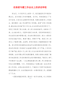 在保密专题工作会议上的讲话学校