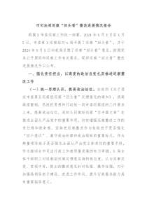 市司法局巡察回头看整改进展情况报告