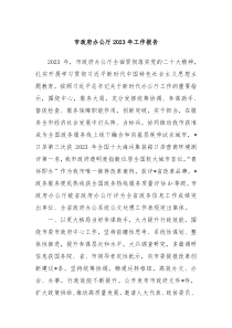 市政府办公厅20XX年工作报告