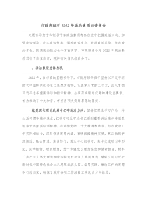 市政府班子20XX年政治素质自查报告