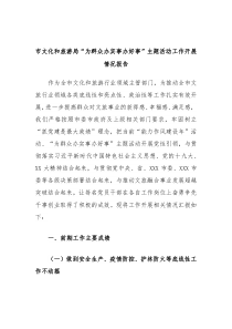 市文化和旅游局为群众办实事办好事主题活动工作开展情况报告