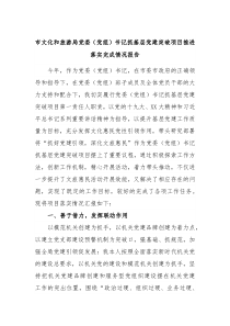 市文化和旅游局党委党组书记抓基层党建突破项目推进落实完成情况报告