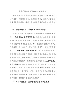 市水利局党组书记20XX年述职报告