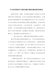 市水务局党组关于落实巡察反馈意见整改情况的报告