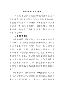市法治建设工作自查报告