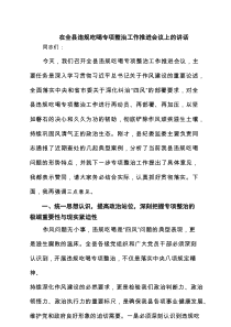 在全县违规吃喝专项整治工作推进会议上的讲话 5篇精选
