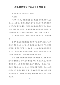 在全县防灭火工作会议上的讲话