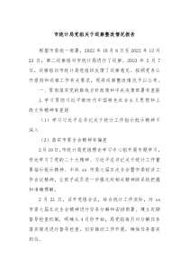 市统计局党组关于巡察整改情况报告