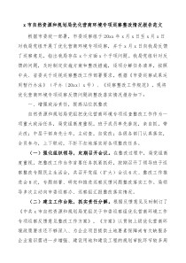 市自然资源和规划局优化营商环境专项巡察整改情况报告范文