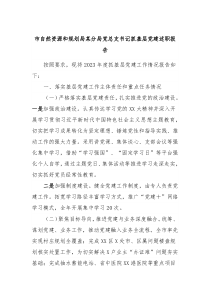 市自然资源和规划局某分局党总支书记抓基层党建述职报告