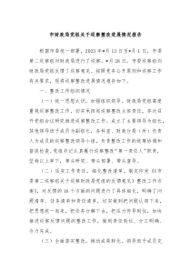 市财政局党组关于巡察整改进展情况报告