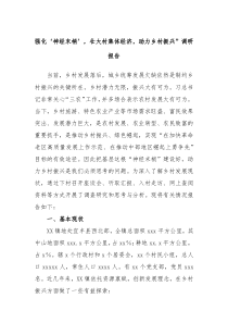 强化神经末梢壮大村集体经济助力乡村振兴调研报告