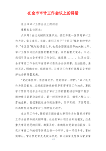 在全市审计工作会议上的讲话