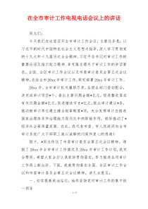 在全市审计工作电视电话会议上的讲话