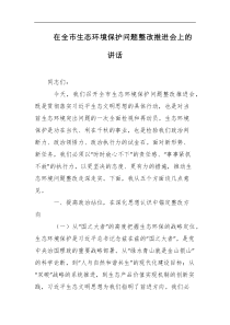 在全市生态环境保护问题整改推进会上的讲话