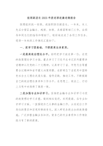 挂职副县长20XX年度述职述廉述德报告