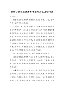 支部书记在第二批主题教育专题组织生活会上的述职报告