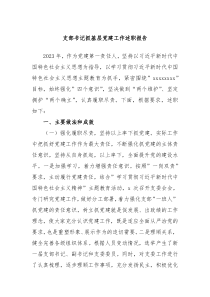 支部书记抓基层党建工作述职报告