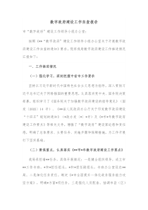 数字政府建设工作自查报告