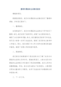 整顿专题组织生活情况报告