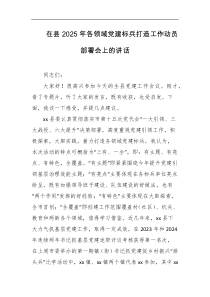 在县2025年各领域党建标兵打造工作动员部署会上的讲话