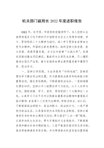 机关部门副局长20XX年度述职报告