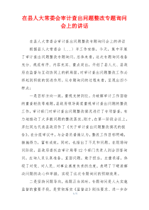 在县人大常委会审计查出问题整改专题询问会上的讲话
