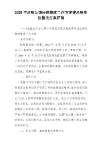 2025年巡察反馈问题整改工作方案被巡察单位整改方案详情