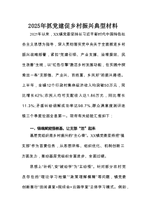 2025年抓党建促乡村振兴典型材料