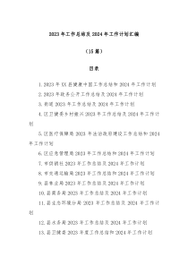 15篇2023年工作总结及2024年工作计划汇编