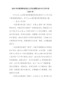 2022年共青团特色亮点工作总结暨2023年工作计划