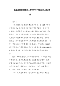 在县委党的建设工作领导小组会议上的讲话