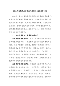 2022年医院党总支部工作总结和2023工作计划