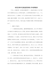 村党支部书记抓基层党建工作述职报告