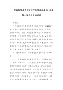 在县委宣传思想文化工作领导小组2025年第一次会议上的讲话