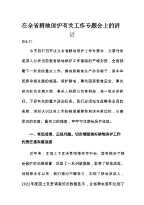 在全省耕地保护有关工作专题会上的讲话