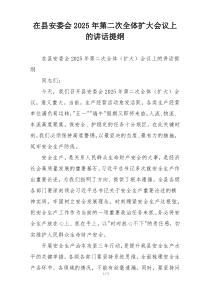 在县安委会2025年第二次全体扩大会议上的讲话提纲