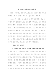 某乡20XX年度班子述职报告