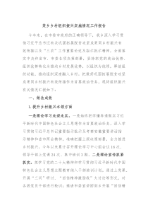 某乡乡村组织振兴实施情况工作报告