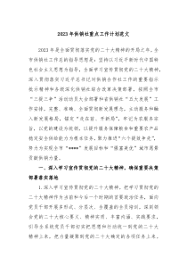 2023年供销社重点工作计划范文